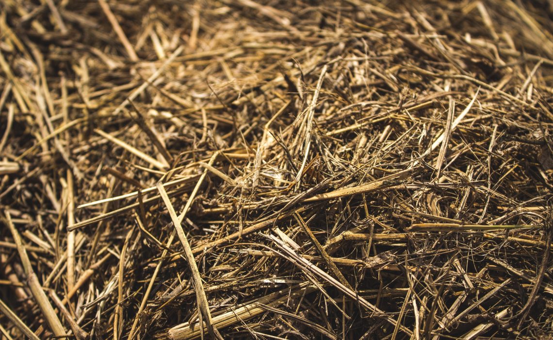 photo of dry hay